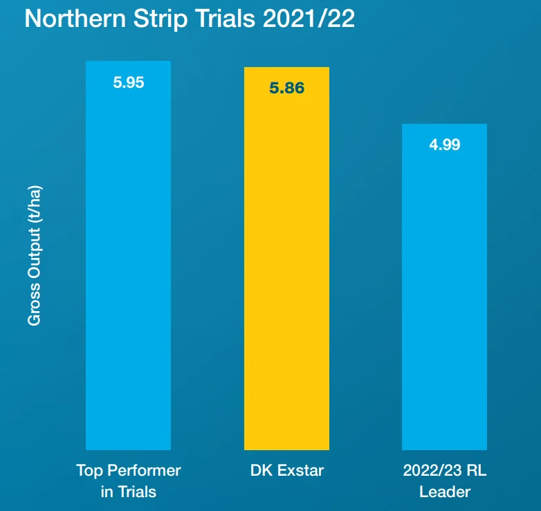 DK Exstar