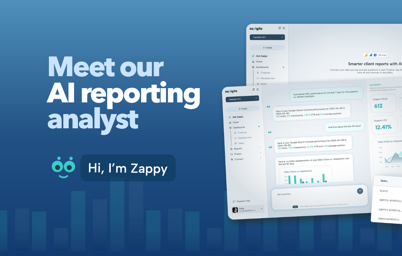 Zappy by ZapDigits | Agency analytics alternative