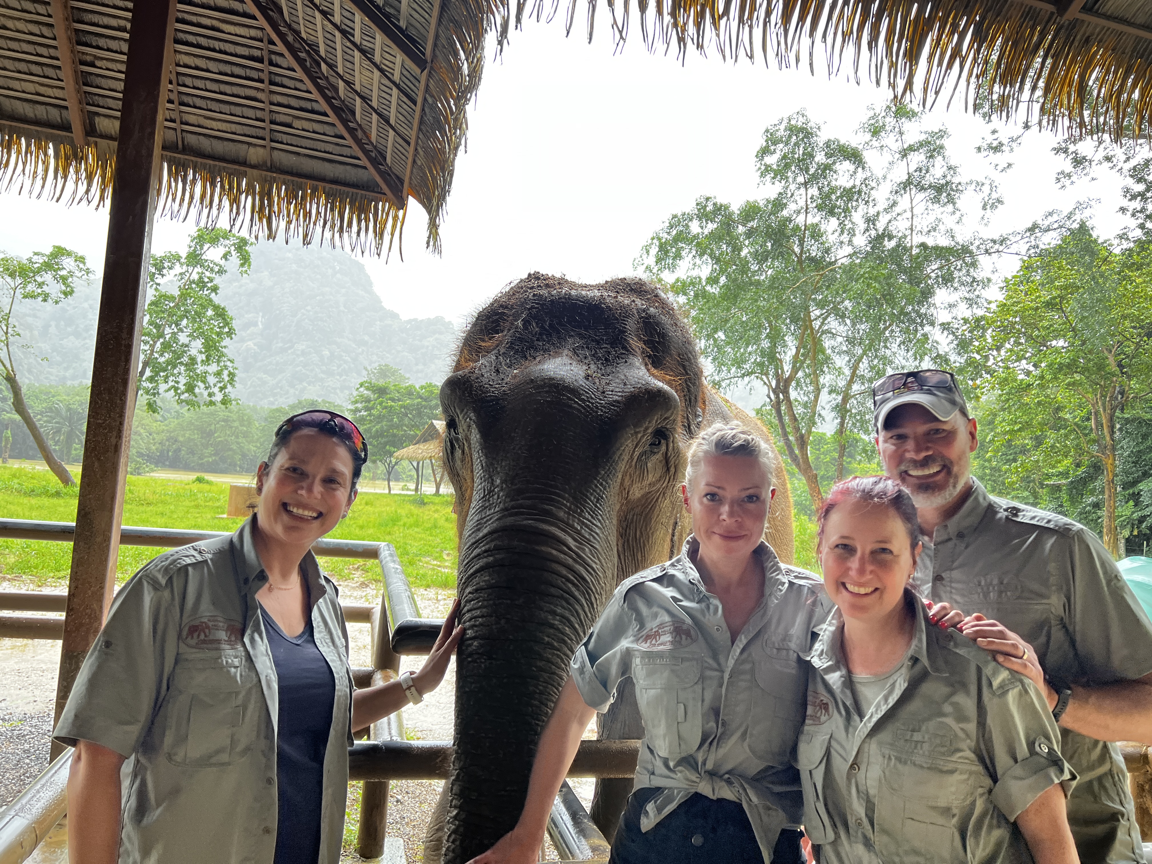 za - Gold Travel Counsellors trip Elephant Hills