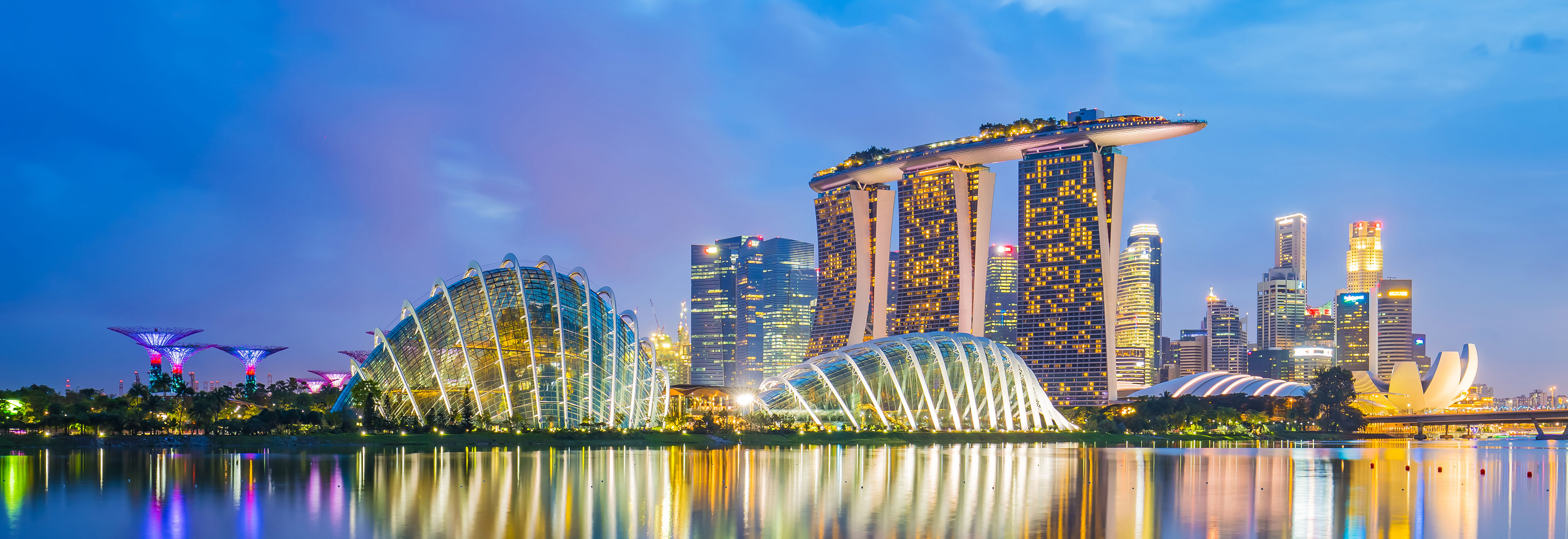 a Business Travel Consultant from Home Travel Counsellors