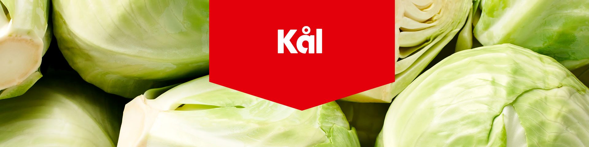 Färska vitkålshuvuden med texten "Kål".