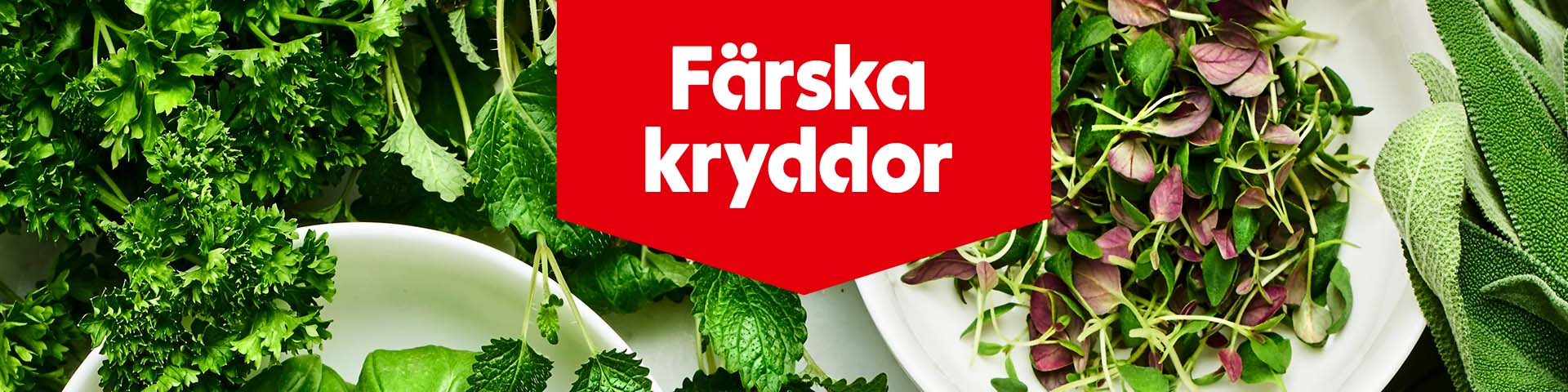 Olika färska kryddor i skålar och buntar med texten "Färska kryddor".