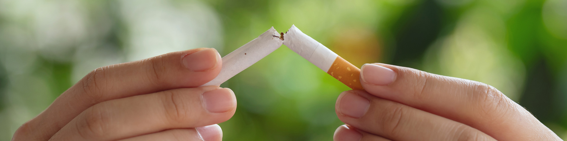 Två händer bryter en cigarett mot grön, suddig bakgrund.