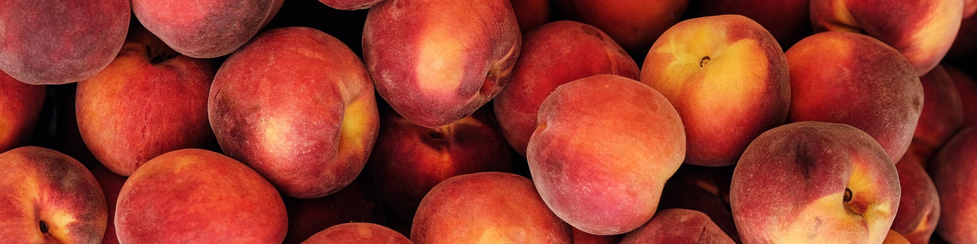 Klicka här för att handla persika och nektarin