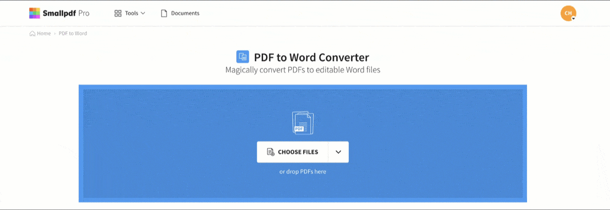 Convert pdf to editable word