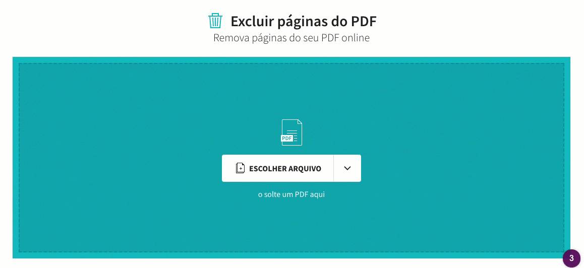 excluir-pagina-duplicada