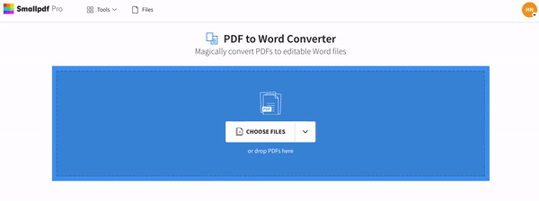 Convert pdf to word for editing