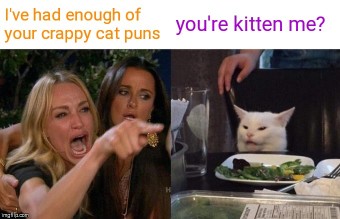 Woman-Yelling-At-Cat-Meme-Example-1