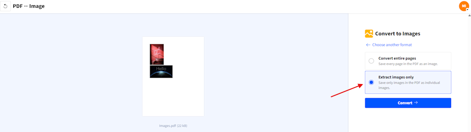 Turn PDF pages into images