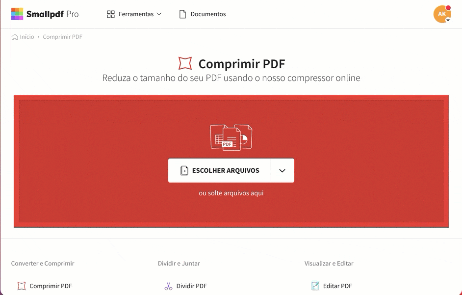 2021-02-01 pdf-menor