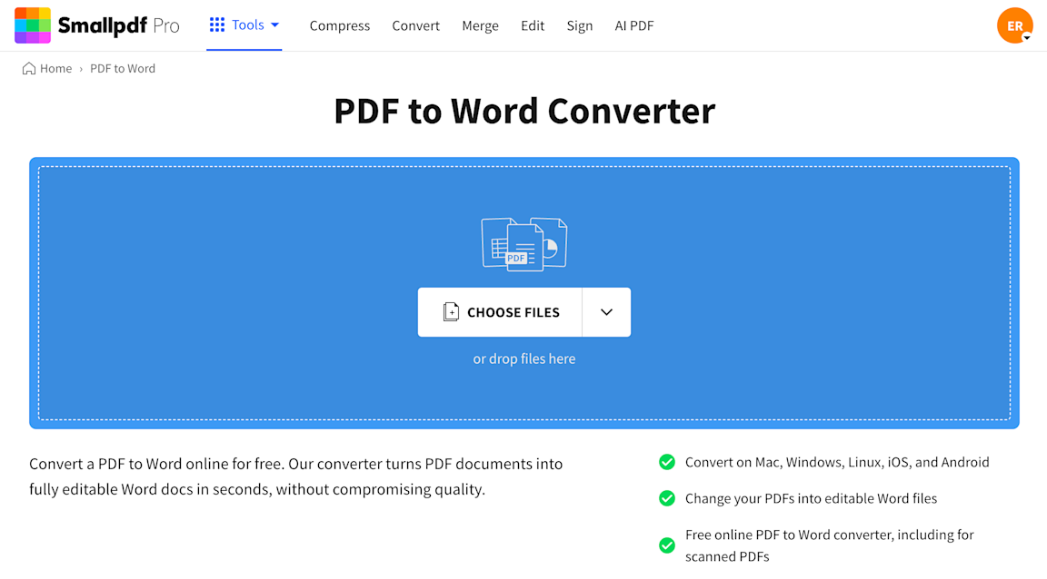 PDF to Word Converter