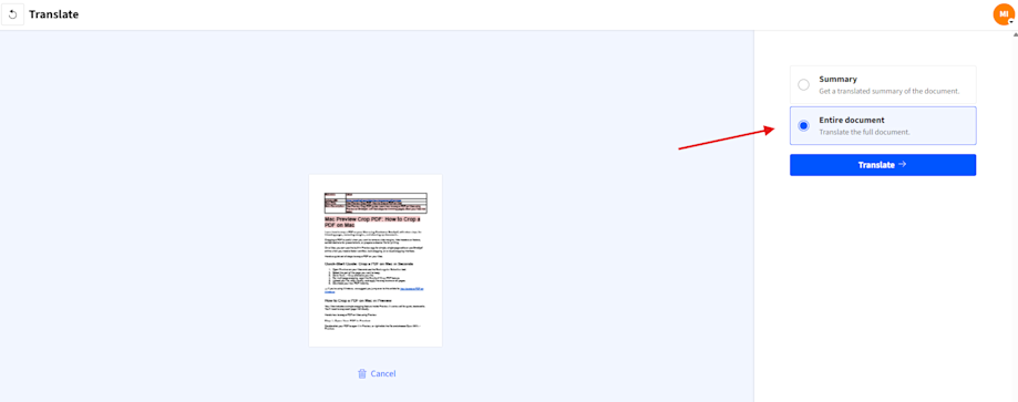 Use the Entire Document Option on Translate PDF