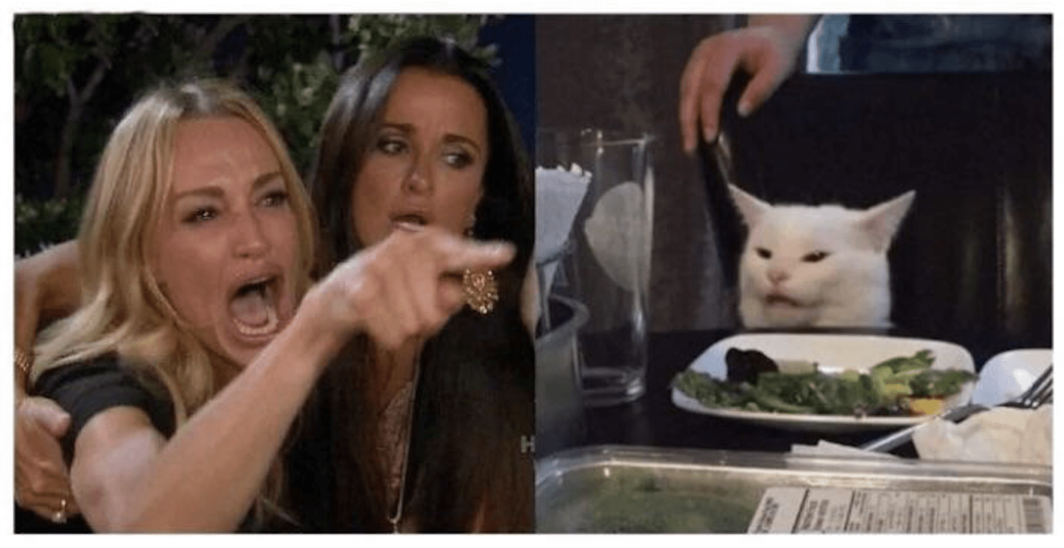 Woman Yelling at Cat Meme Generator Smallpdf