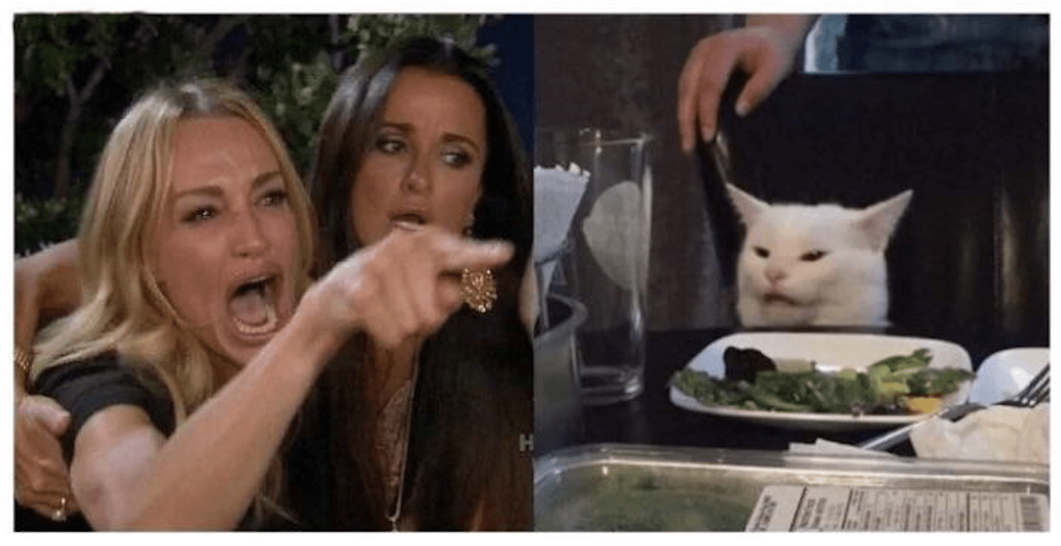 Woman Yelling At Cat Meme Template