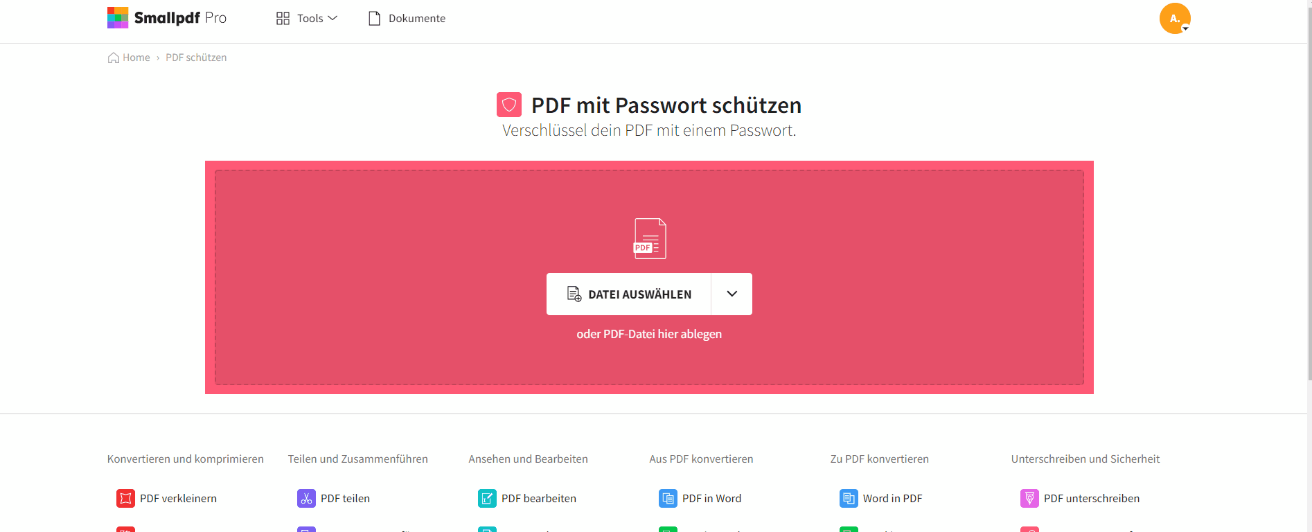 2021-11-01 - Wie man auf die altmodische Art ein starkes Passwort erstellt - PDF schützen