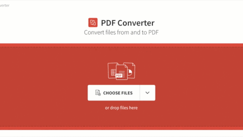 convert ppt to word