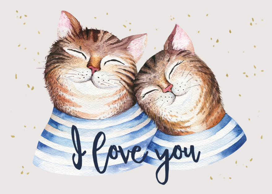 Cats in Love Blog