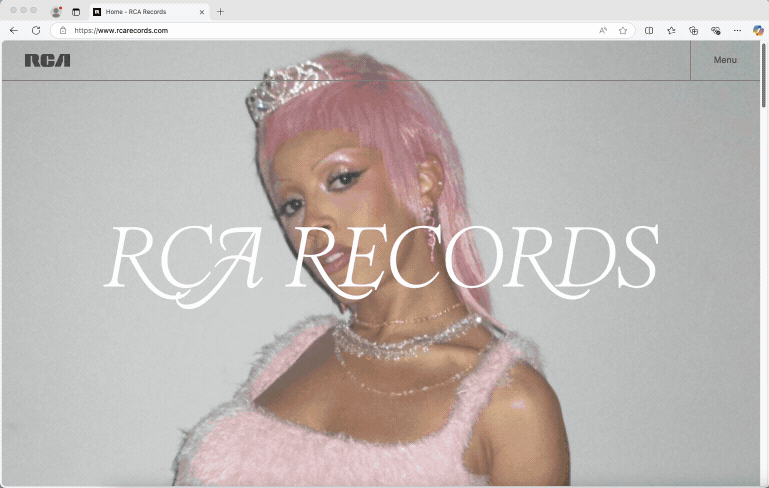 Identifying custom fonts used on web pages