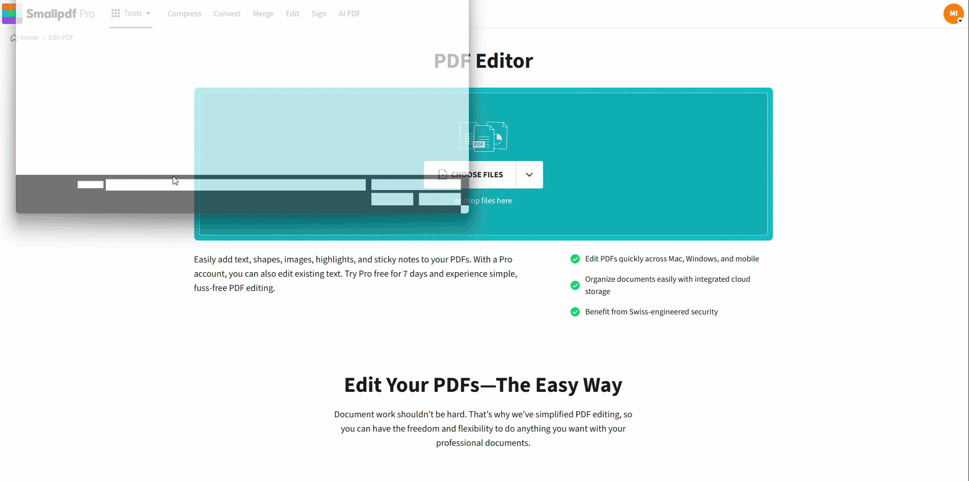 Fix single typos directly in Edit PDF
