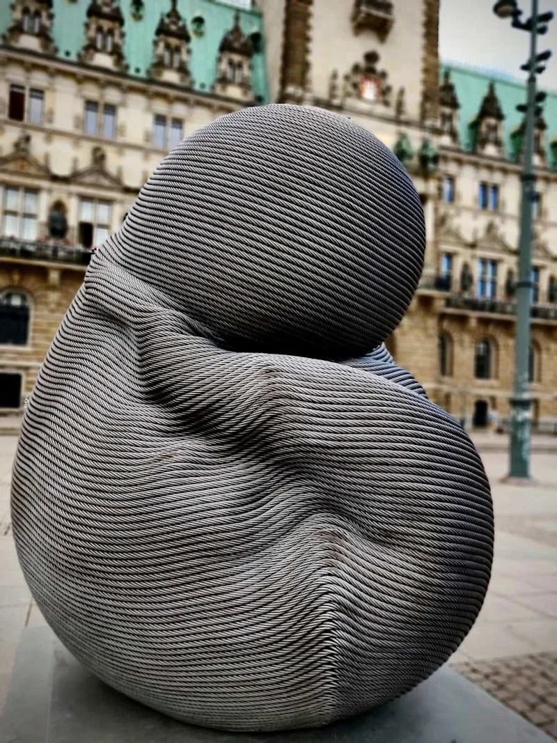 In front of Hamburg Rathaus