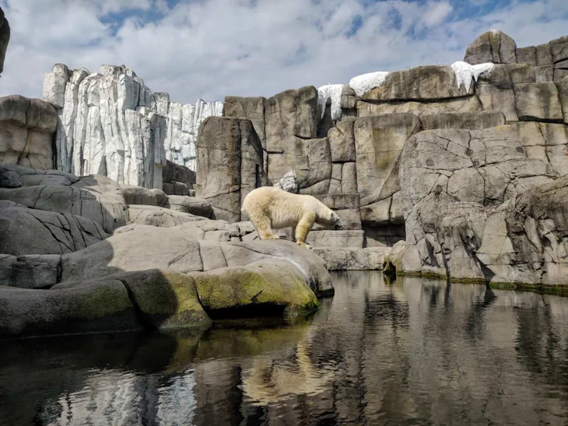 Hagenbeck Tierpark