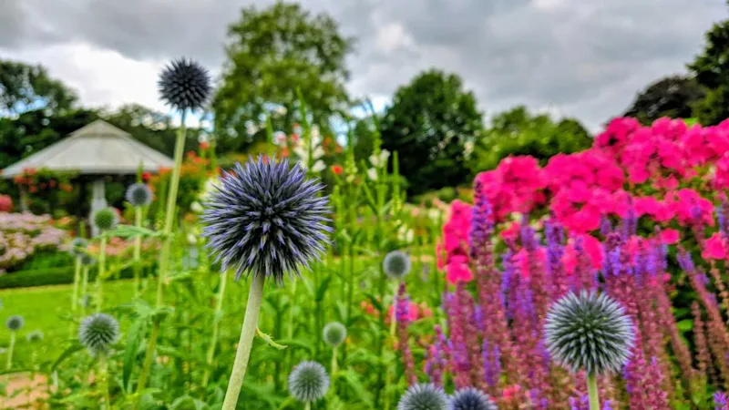 Planten un Blomen