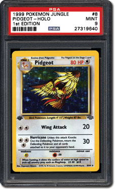 Pidget