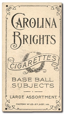 Carolina Brights