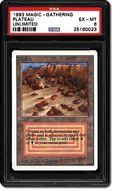 マジック：ザ・ギャザリング 1994 Magic: The Gathering Plateau PSA 5 MTG 1994 Plateau REVISED PSA 5 MAGIC THE GATHERING Land Rare