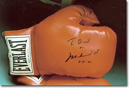 Ali gloves
