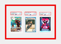 Pokemon, hockey and wrestling slabs