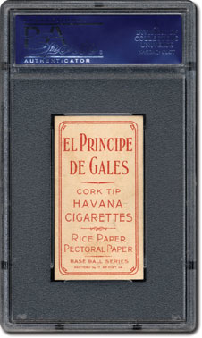 El Principe