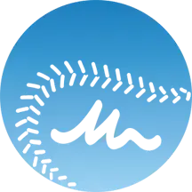 Baseball Icon