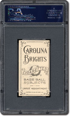 Carolina Brights