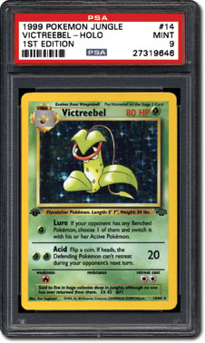 jungle first edition card list 1st (64/64) Complete Set 1999 [MP-DMG] These packs are in very nice condition Jungle card list (International TCG)