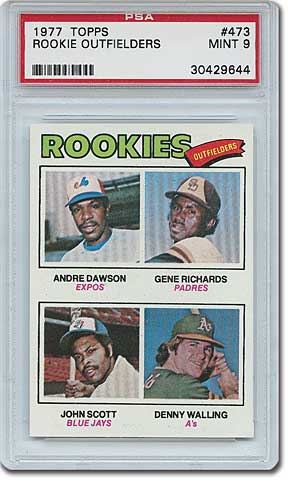 Rookie Outfielders