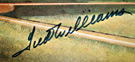 Ted Williams Forgery from Operation Bullpen