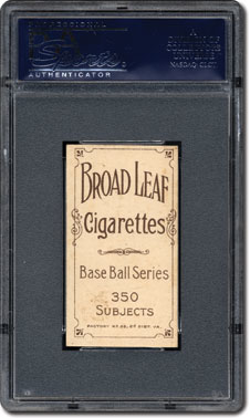 Broad Leaf