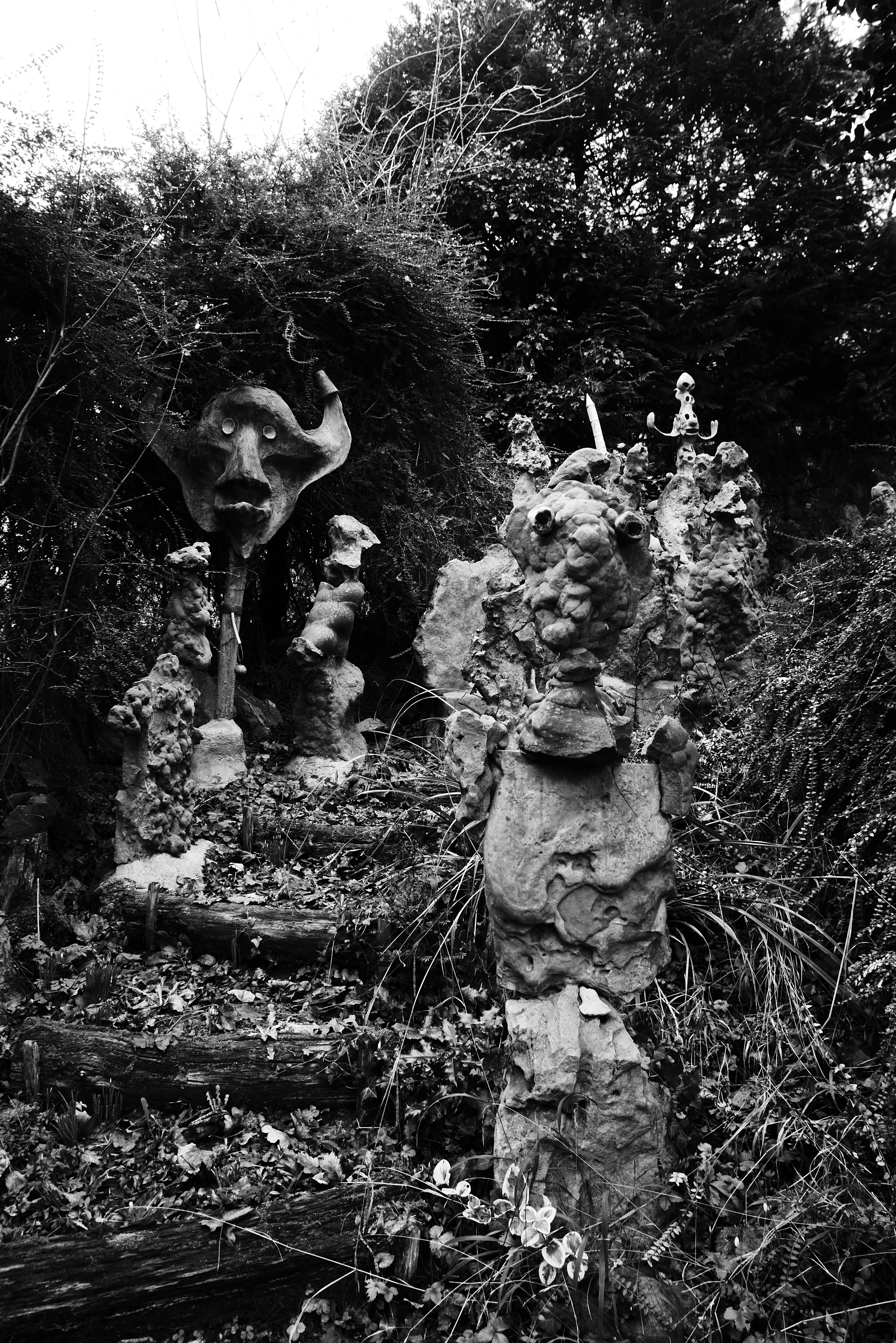 Photographie: Romain Perrot