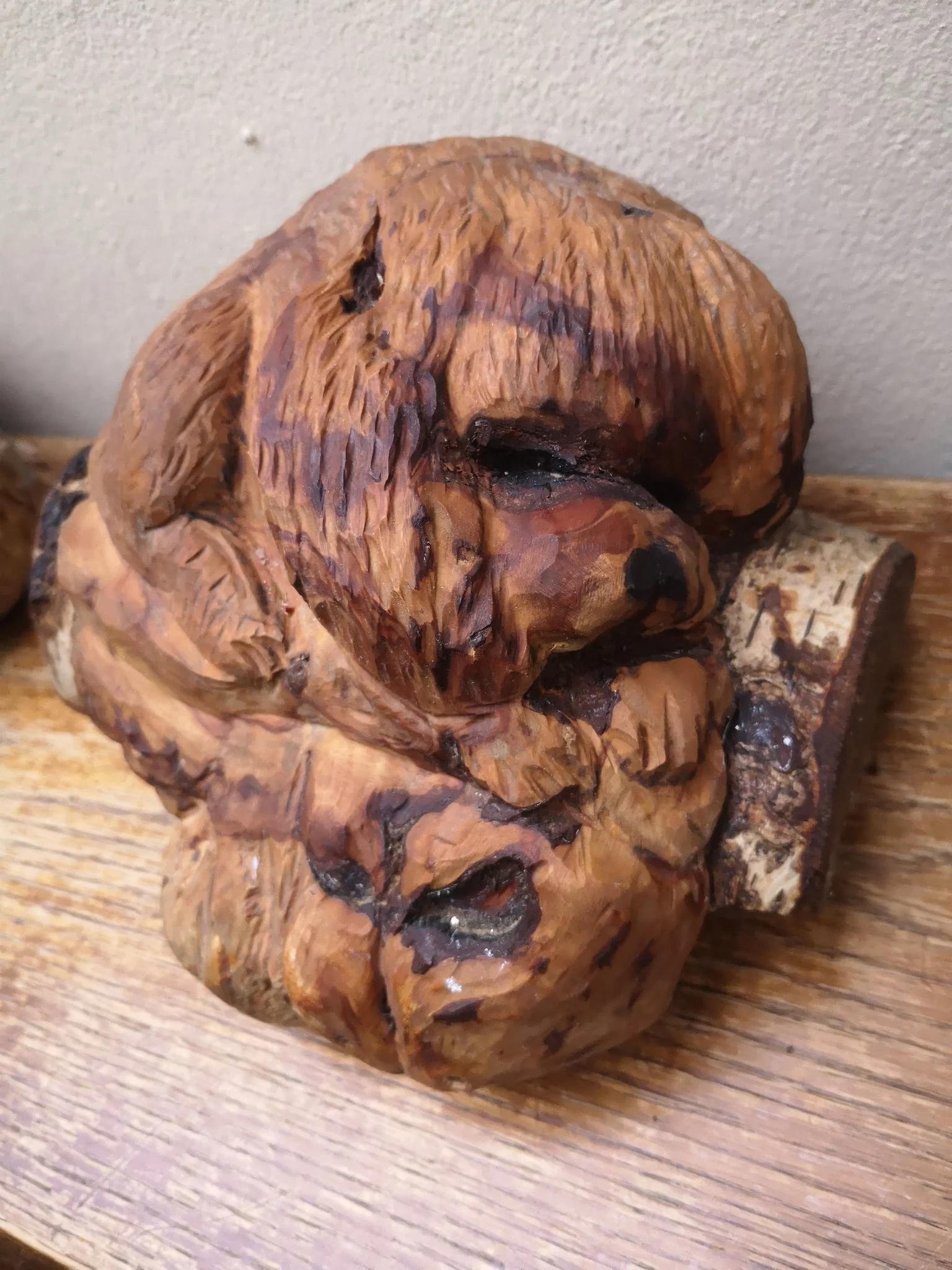 Un chien né d'un souche en bois