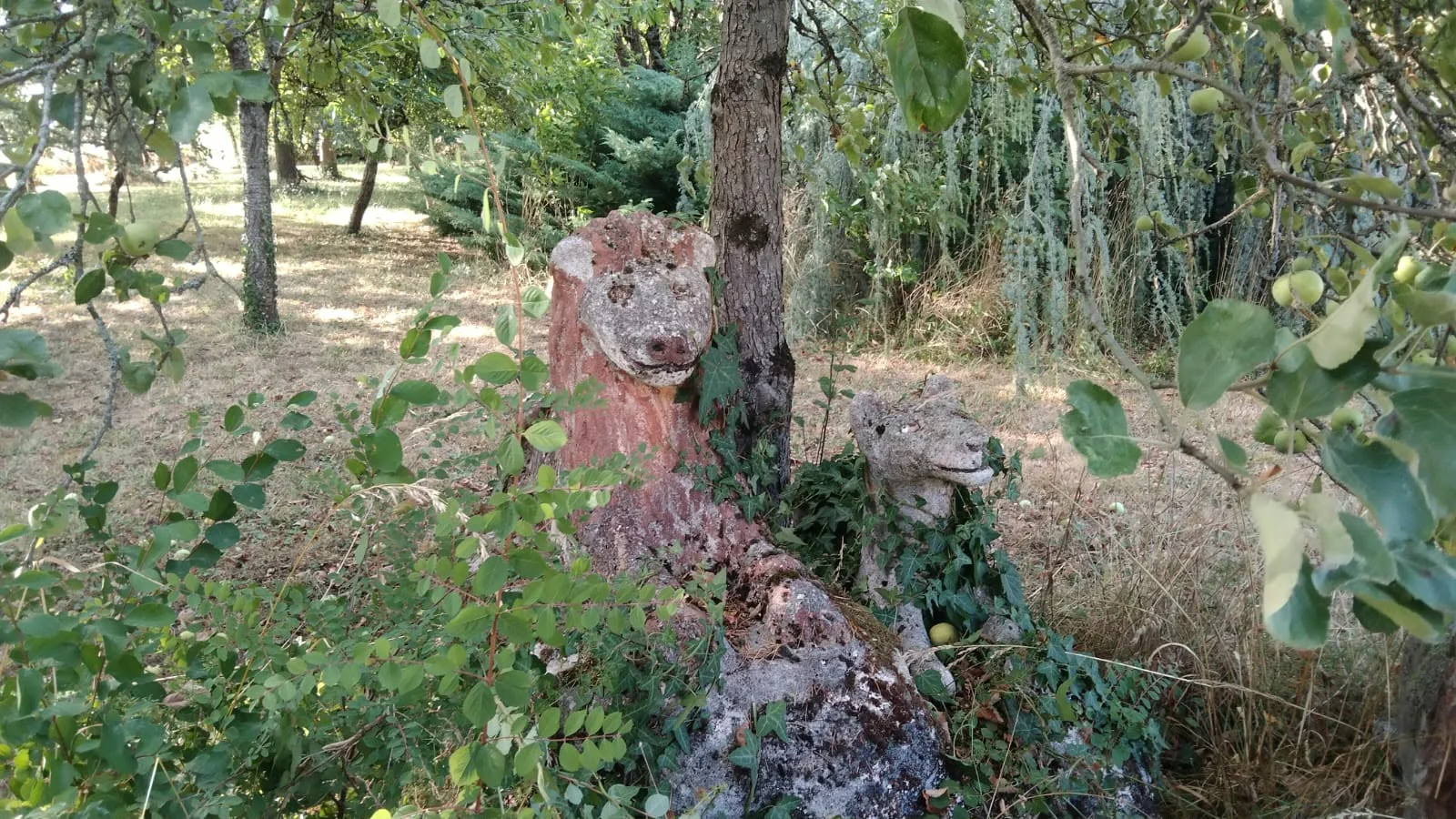 les lions ensevelis