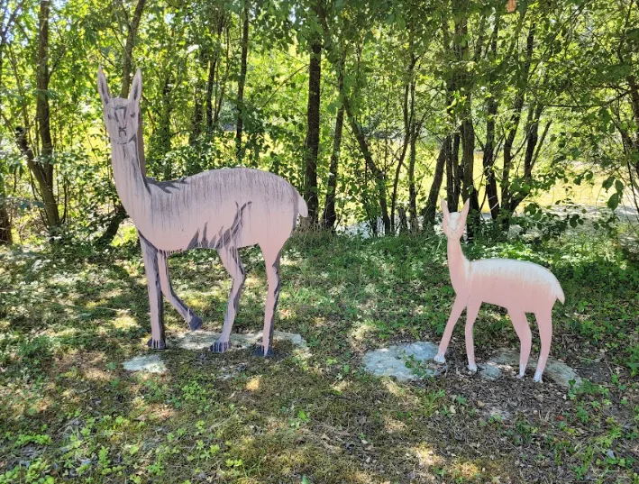 Photographie: Romain Perrot