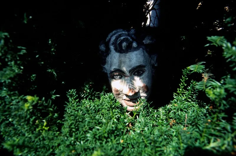 photographie de Francis David 