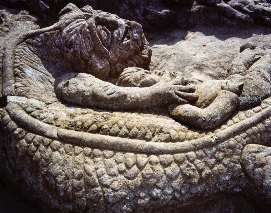 Photographie: Francis David