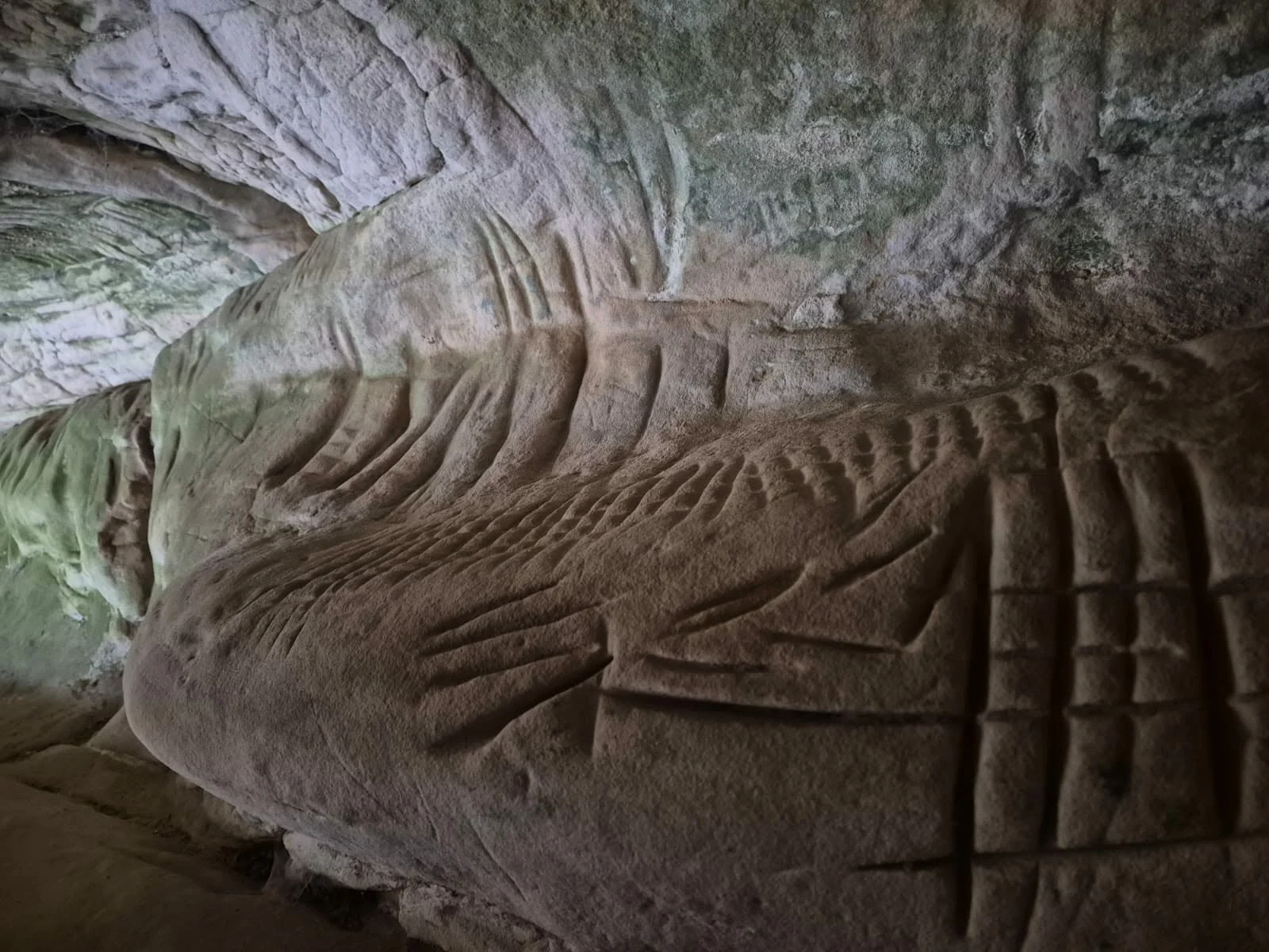 photographie Roro Perrot