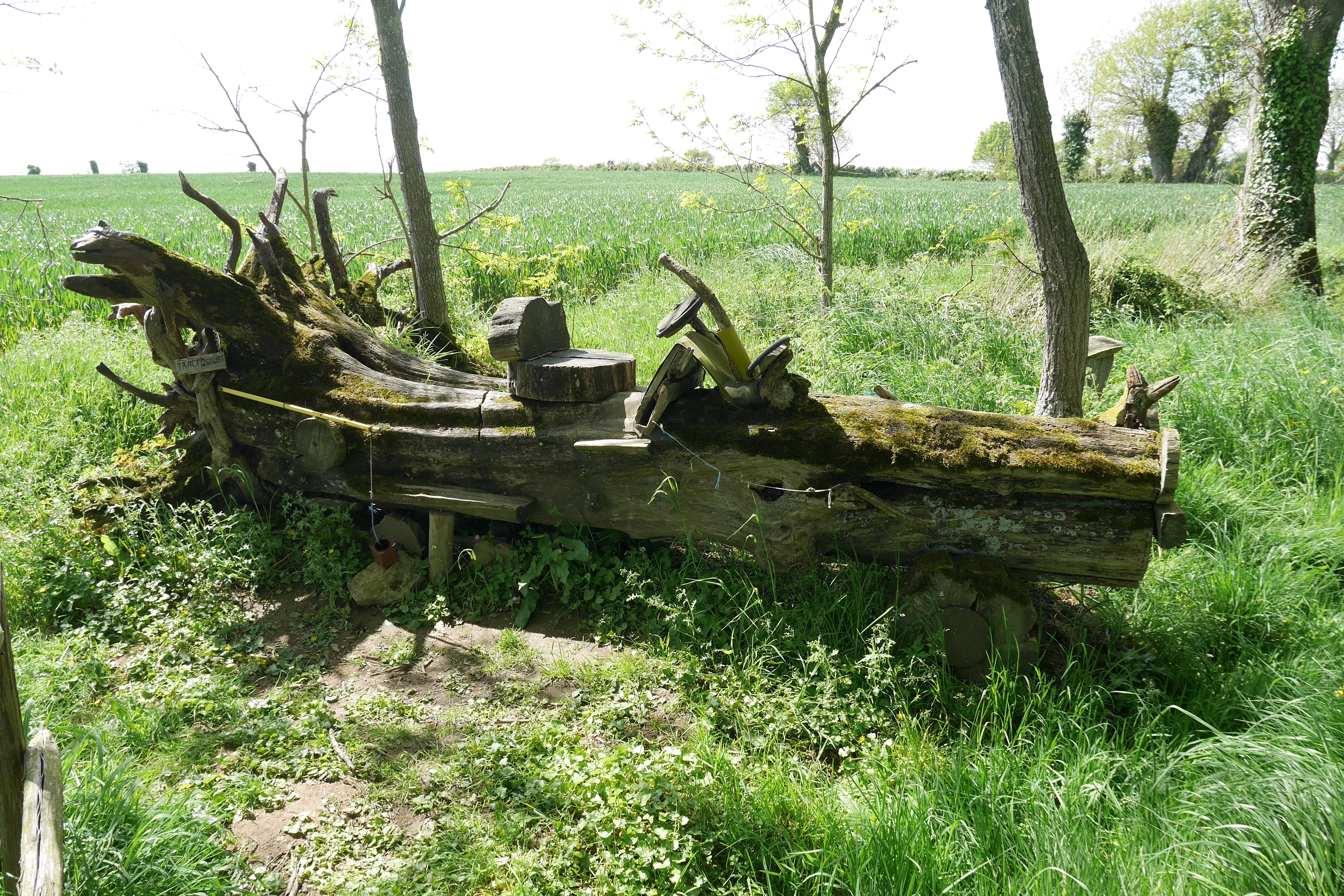 Le tractosaure. Photographie: Romain Perrot