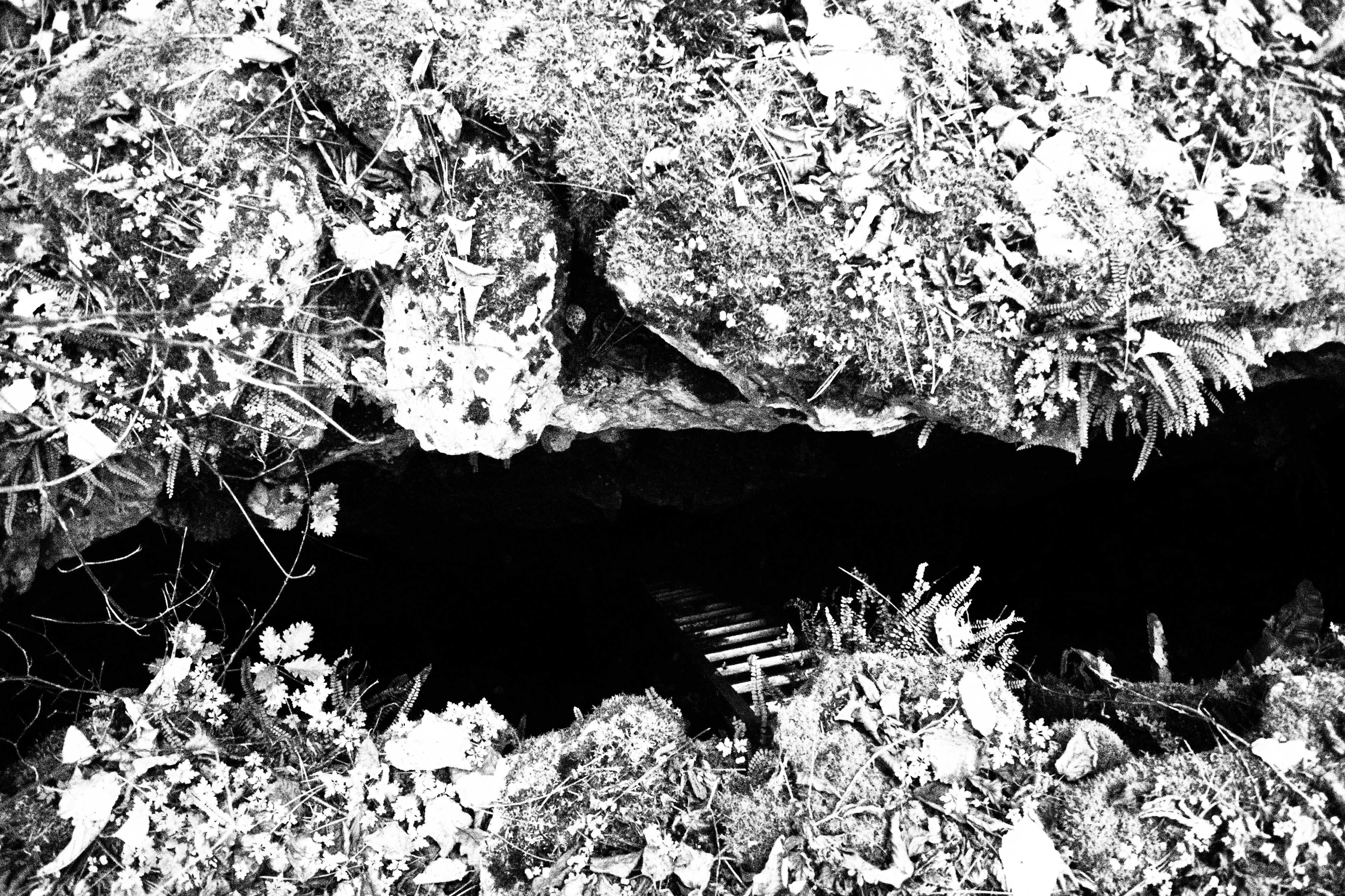 Photographie: Matthieu Morin 