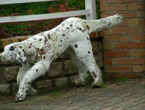 Le setter encore en place en 2008 - photographie de Laurent Jacquy dans son blog Les beaux dimanches