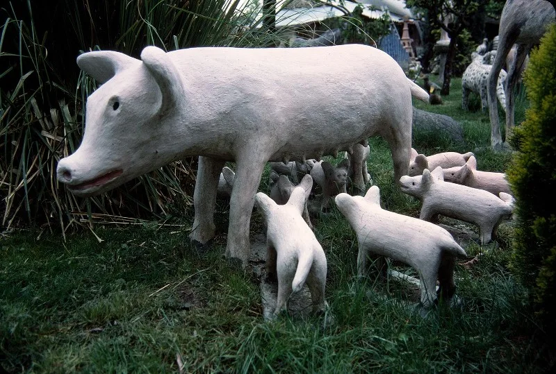 Photographie: Francis David