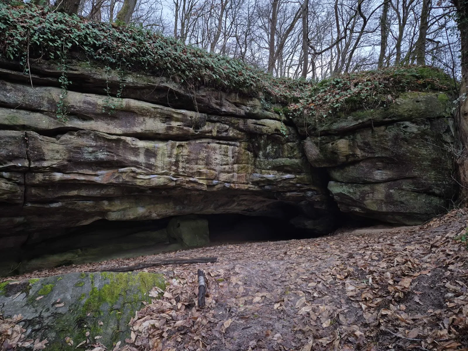 l'entrée de la grotte